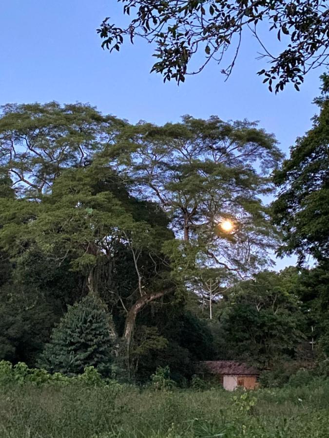 Recanto Da Floresta - Casa De Campo Em Secretario Petropolis  Exterior photo
